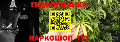 гашик Железногорск